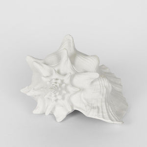 Sandy White Sea Snail 21X19X13Cm