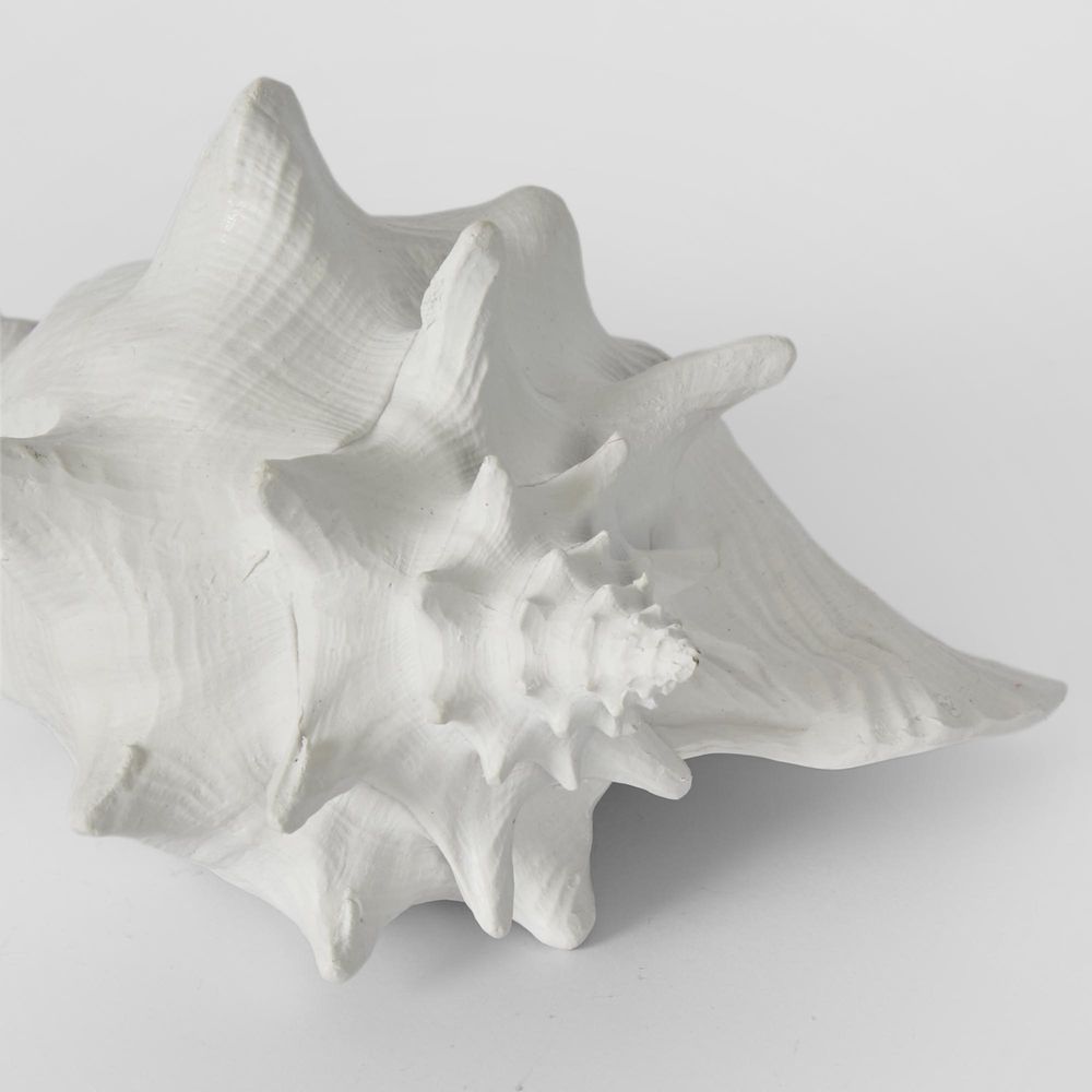 Sandy White Sea Snail 21X19X13Cm