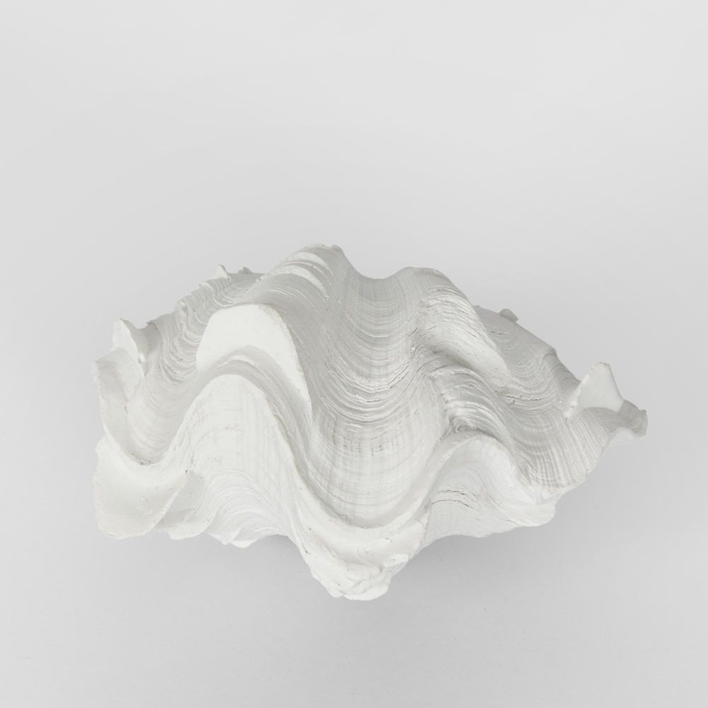 Santi White Sea Snail 14X7X10Cm