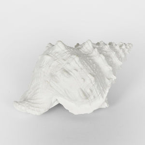 Sammy White Sea Snail 21X14X12Cm