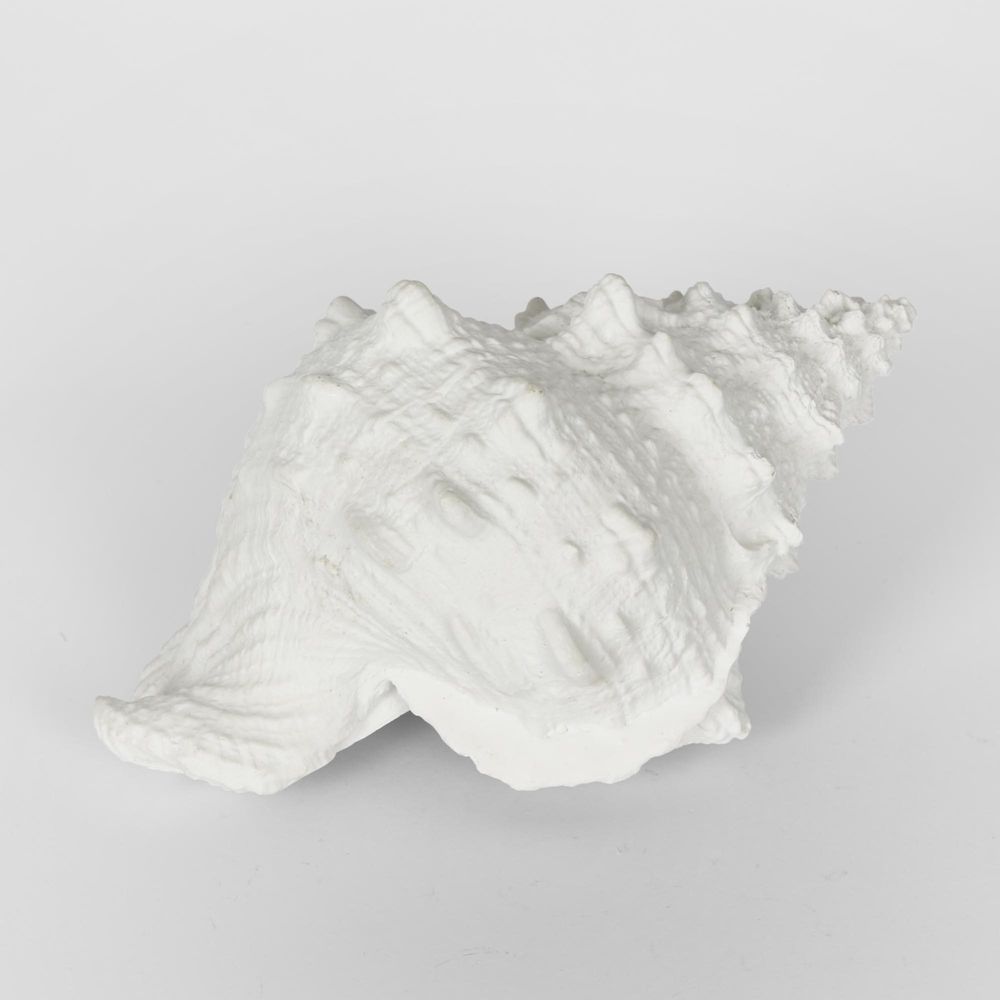 Sammy White Sea Snail 21X14X12Cm