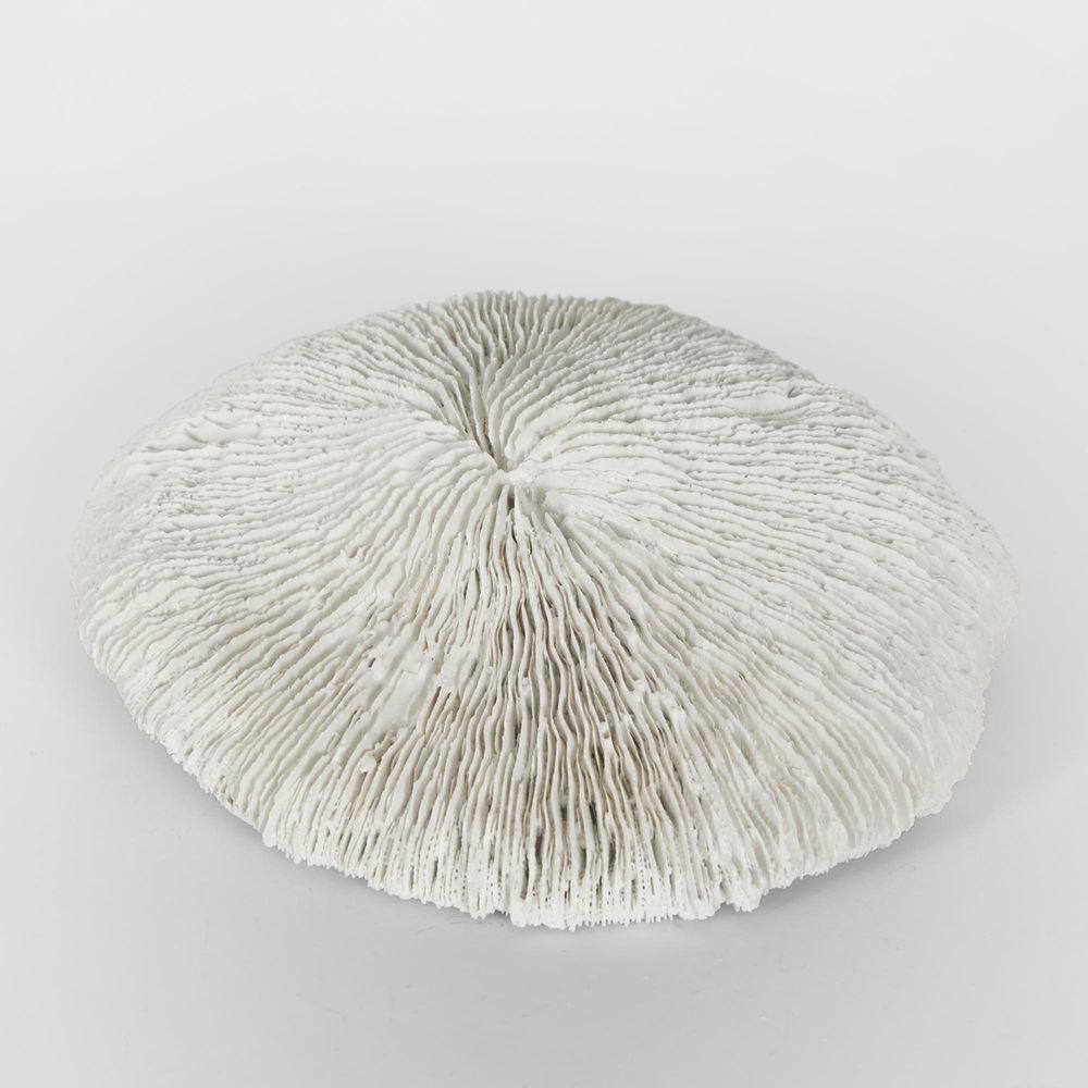 Sofi White Sea Urchin 19X17X5Cm