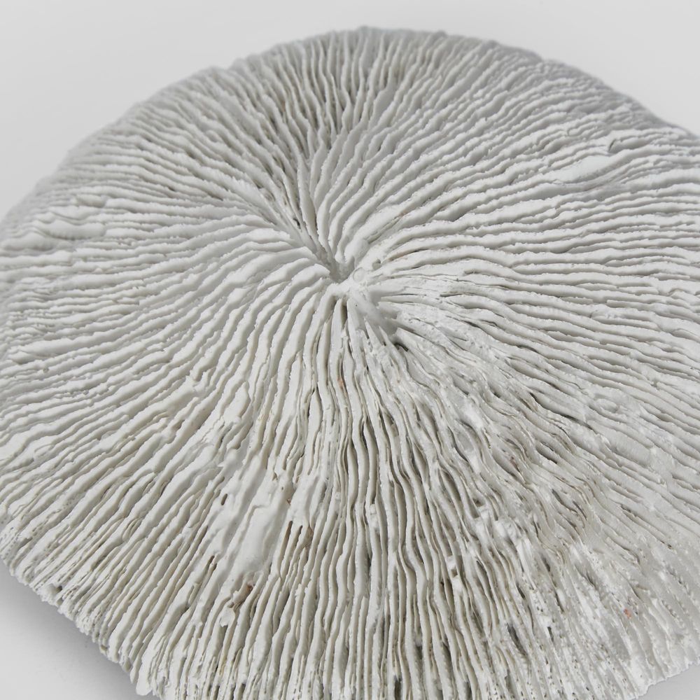 Sofi White Sea Urchin 19X17X5Cm