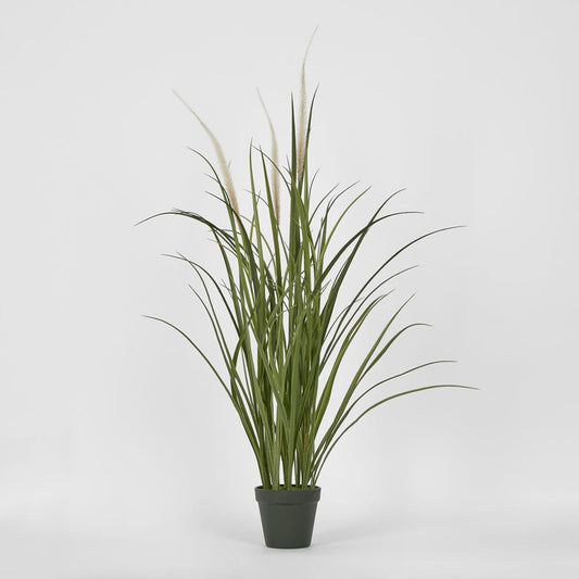 Potted Grass Bush 95Cm