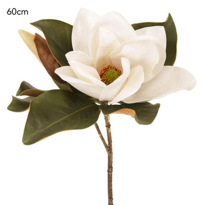 Magnolia Flower 72Cm White