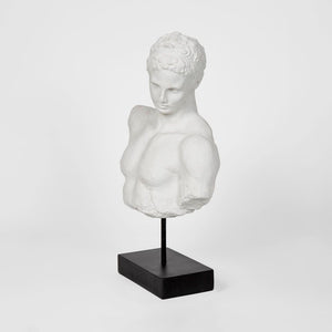 Grecian Polyresin Male Bust