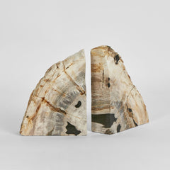 Cinagara Petrified Wood Bookends Set