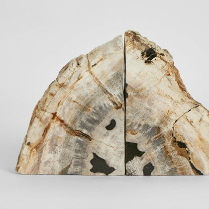 Cinagara Petrified Wood Bookends Set