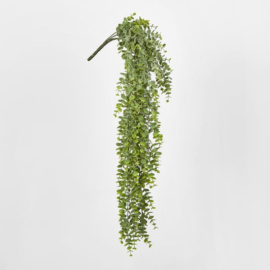 Green Eucalyptus Hanging Bush X 6