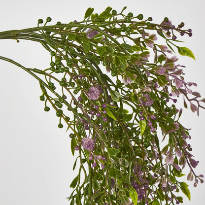 Boxwood Hanging Vine X 5 With Purple Berries