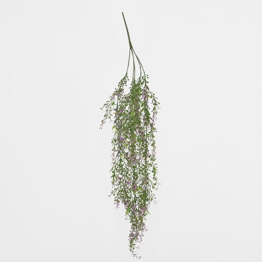Boxwood Hanging Vine X 5 With Purple Berries