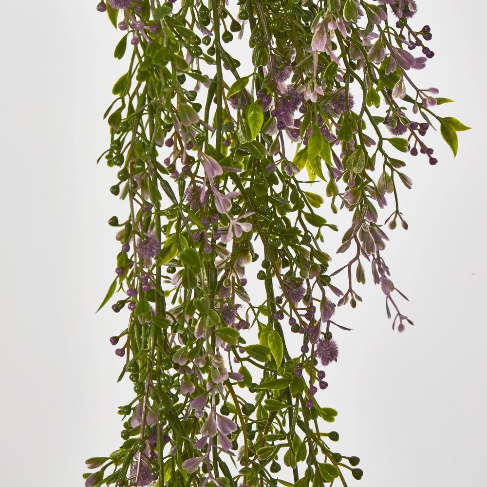 Boxwood Hanging Vine X 5 With Purple Berries