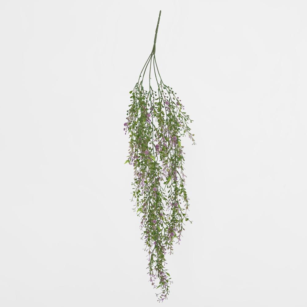 Boxwood Hanging Vine X 5 With Purple Berries