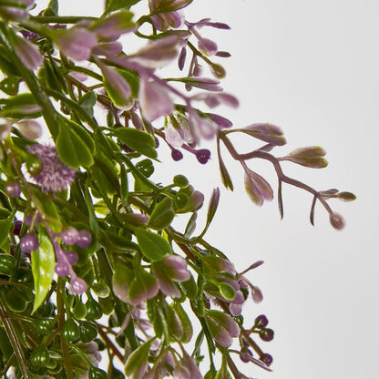 Boxwood Hanging Vine X 5 With Purple Berries