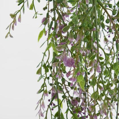 Boxwood Hanging Vine X 5 With Purple Berries