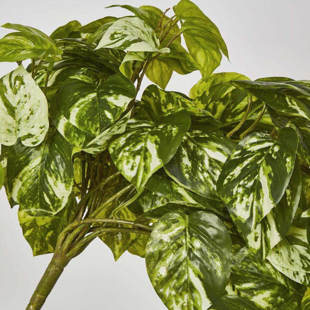 Real Touch Pothos Hanging Bush X 12