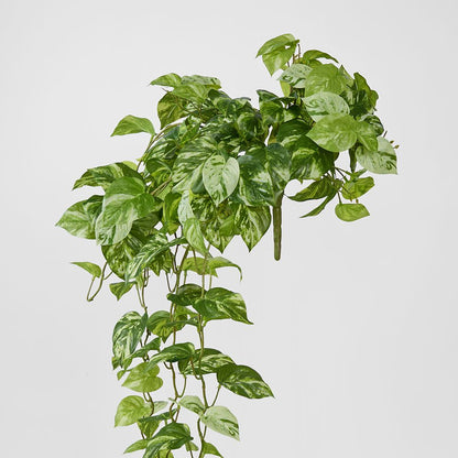Real Touch Pothos Hanging Bush X 12