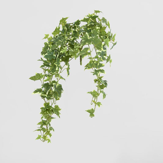 Real Touch Verigated Sage Ivy Bush X 12