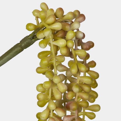 73Cm Light Green Yellow Pearl Necklace Vine X 5