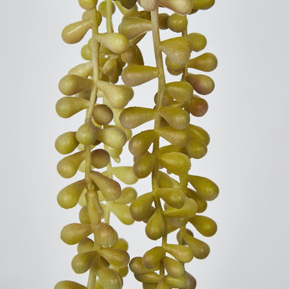 73Cm Light Green Yellow Pearl Necklace Vine X 5