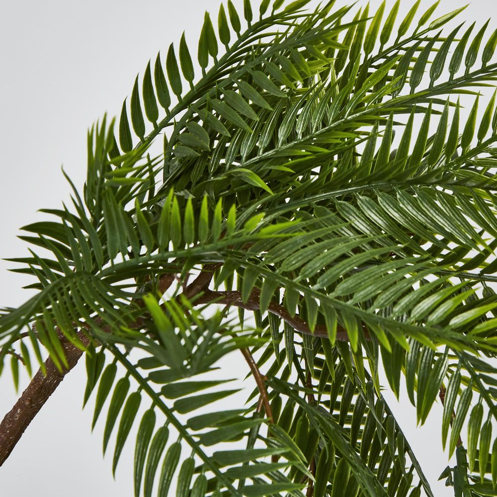 Hanging Pitch Pine Bush