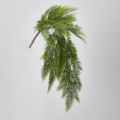 Hanging Pitch Pine Bush