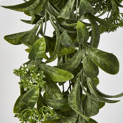 Osmanthus Hanging Bush With White Flower