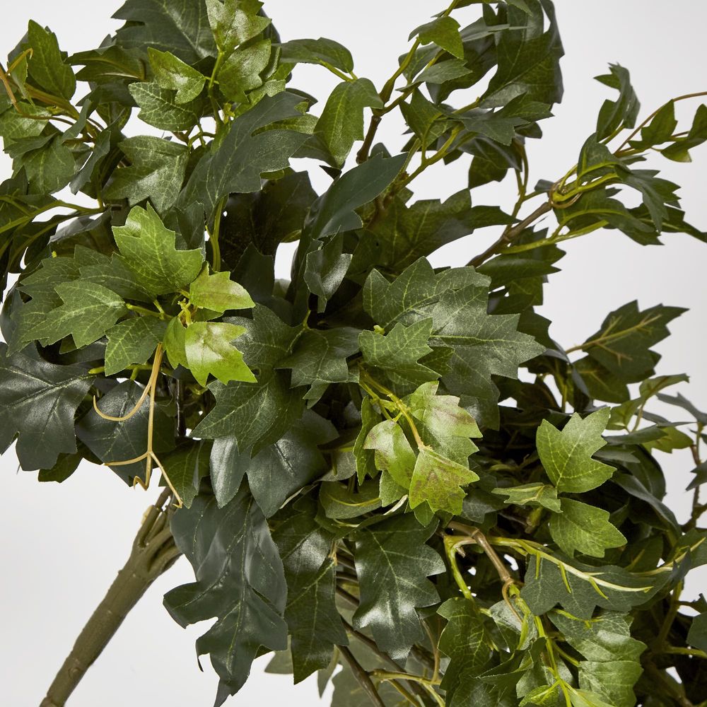 Hanging Green Grape Ivy X12 699 Leaves