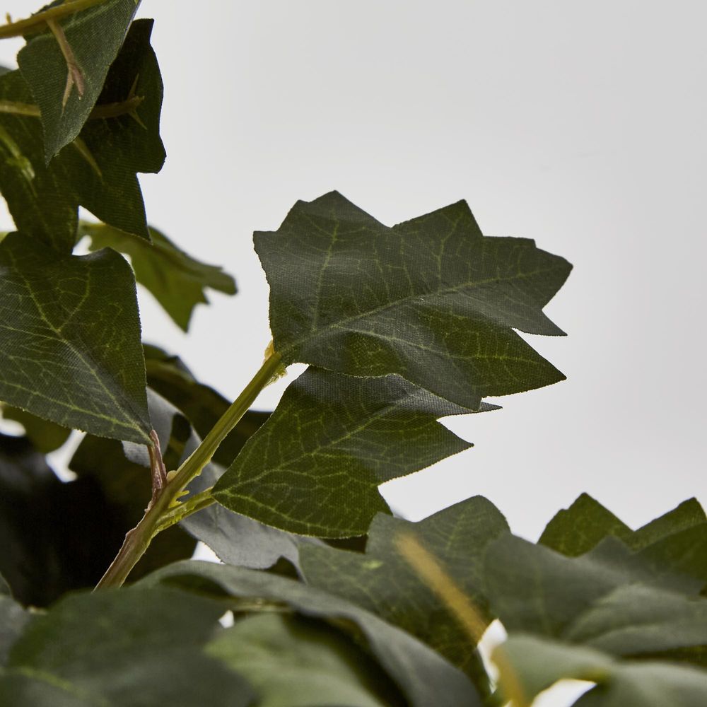 Hanging Green Grape Ivy X12 699 Leaves