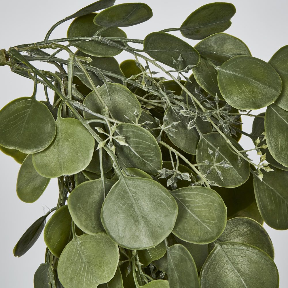 Hanging Green Eucalyptus Leaf Bush