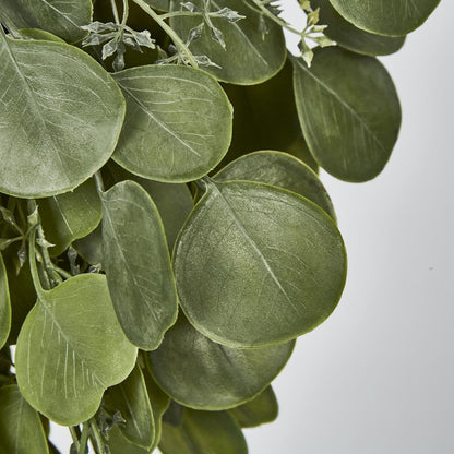 Hanging Green Eucalyptus Leaf Bush