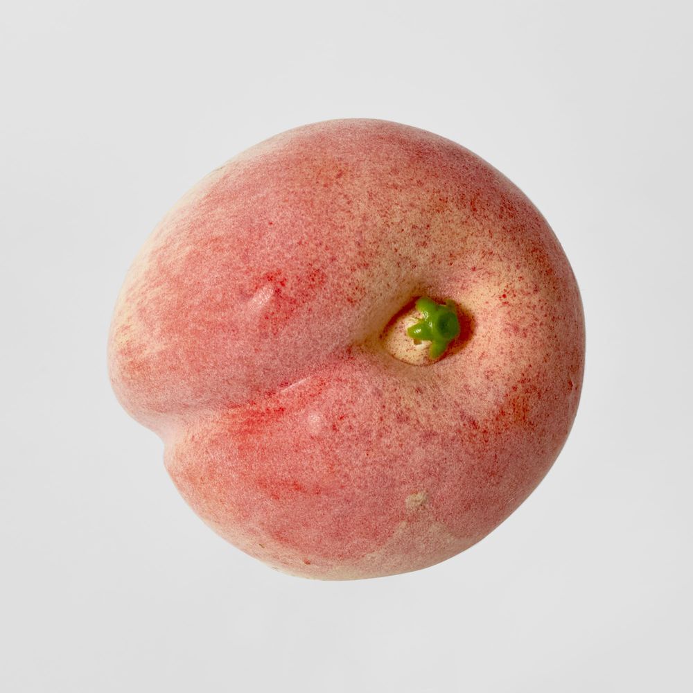 Artificial Peach