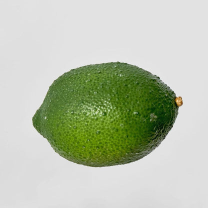 酸橙