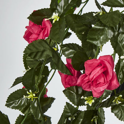 Hanging Roses