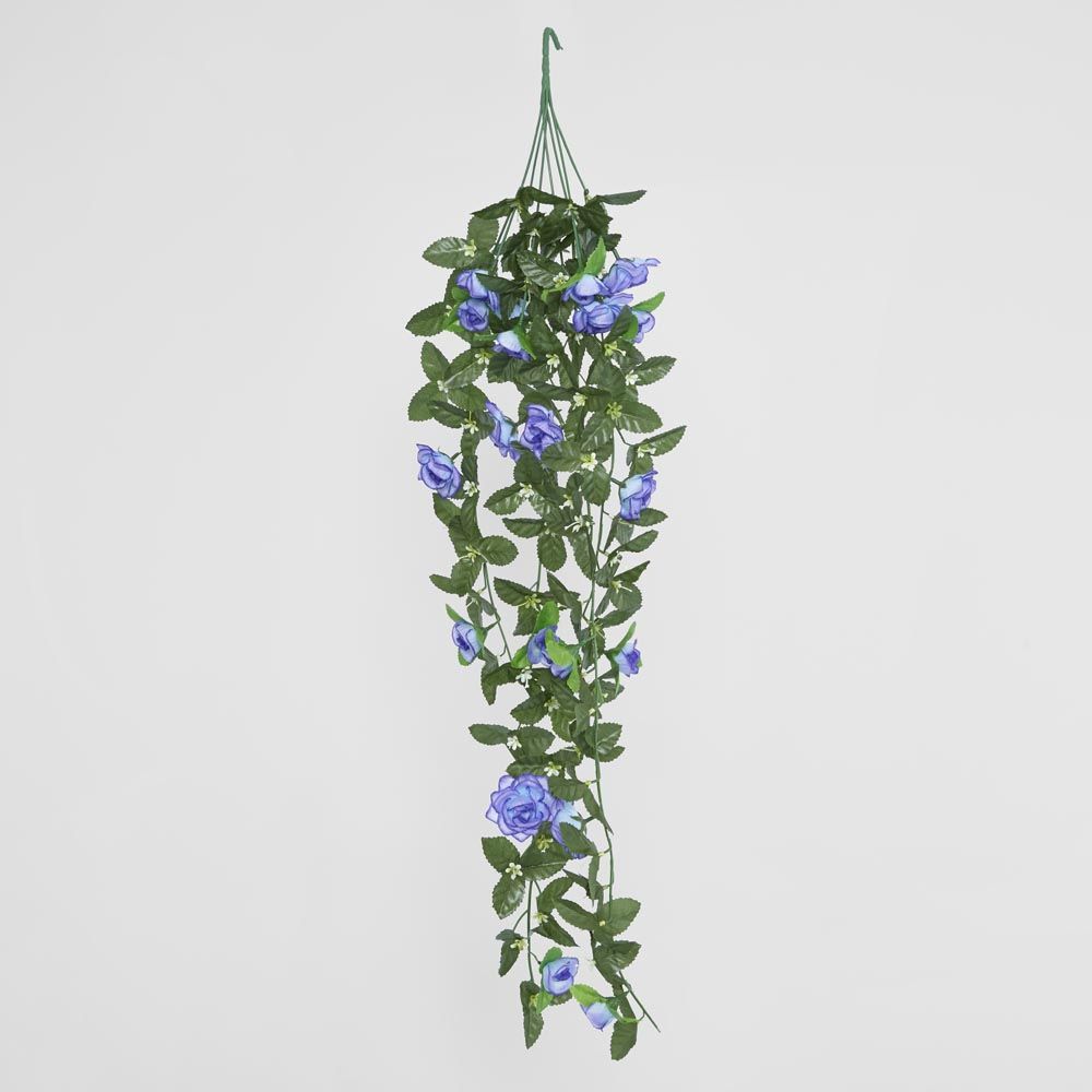 Hanging Roses
