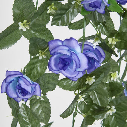 Hanging Roses
