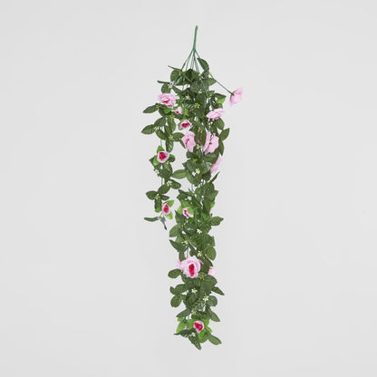 Hanging Roses