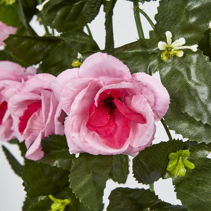 Hanging Roses