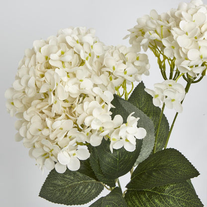 White Hydrangea Bush X 7