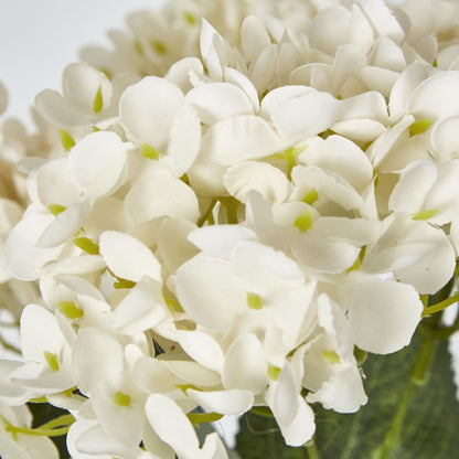 White Hydrangea Bush X 7