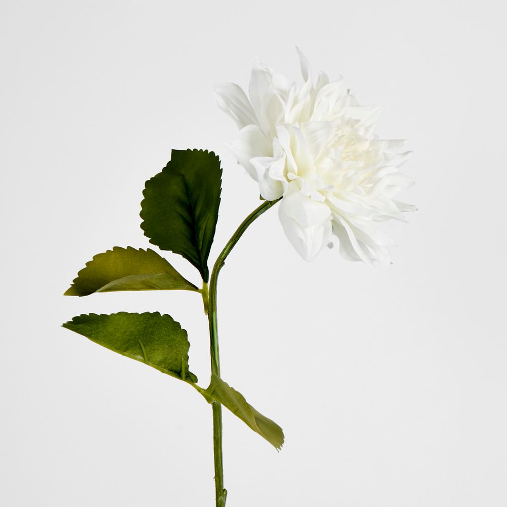 62Cm White Dahlia