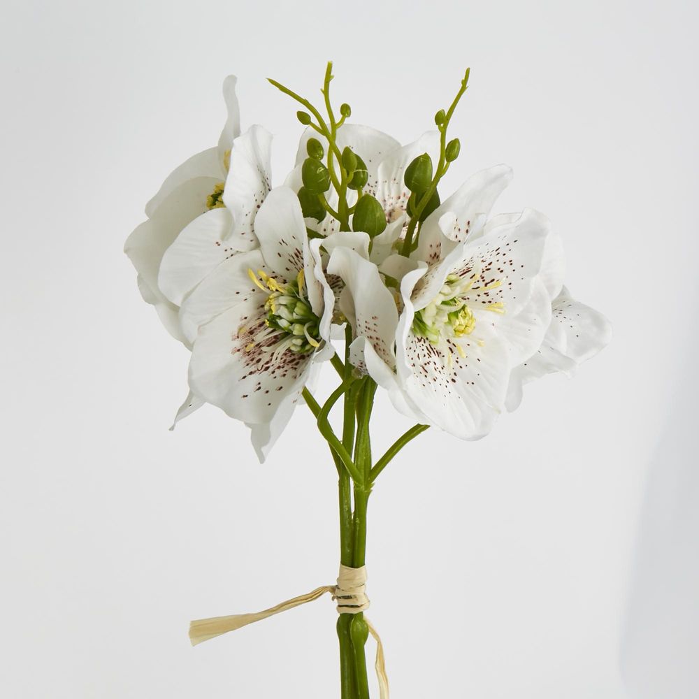 White Christmas Rose Bouquet 31Cm