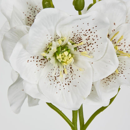 White Christmas Rose Bouquet 31Cm