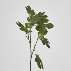 Fig Stem With Fruits 81Cm