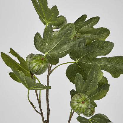 Fig Stem With Fruits 81Cm