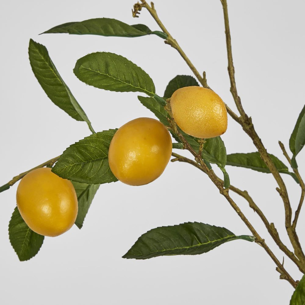 Lemon Stem With Fruits 98Cm