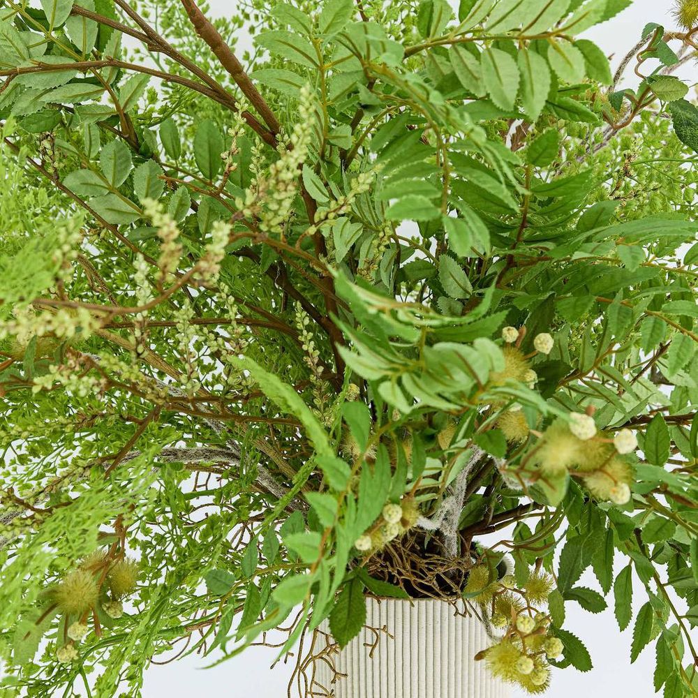 花楸叶喷雾 108Cm