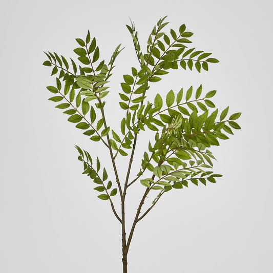 Sorbus Leaf Spray 108Cm