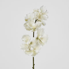 Real Touch Orchid 78Cm White