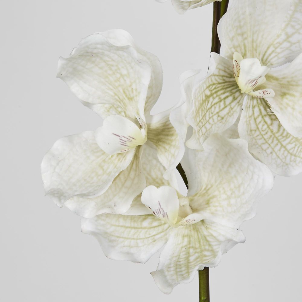 Real Touch Orchid 78Cm White